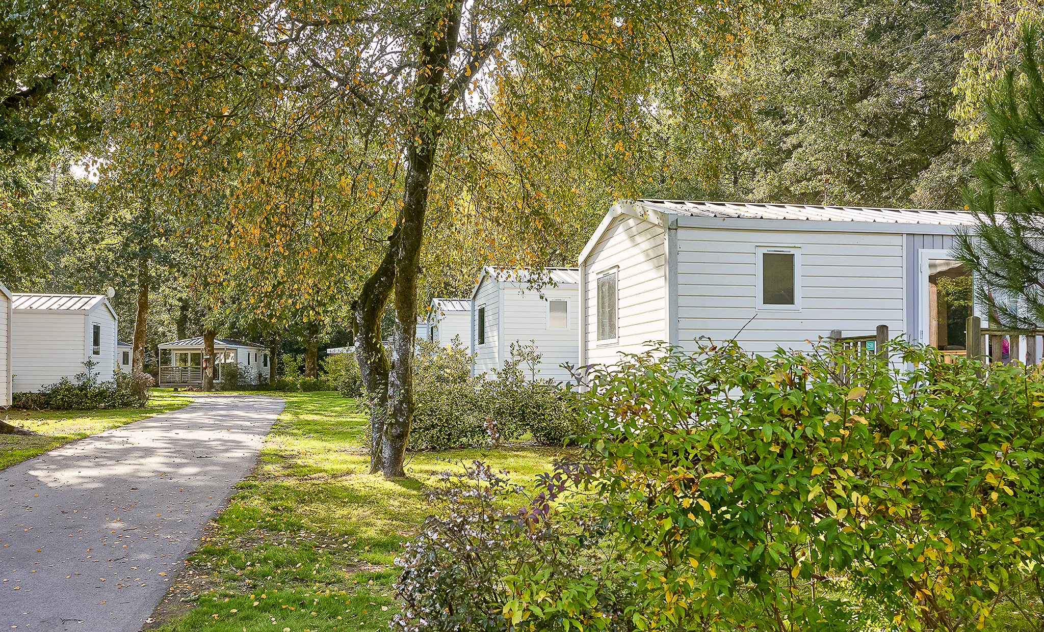 Supérette et épicerie au camping les dunes à brétignolles sur mer