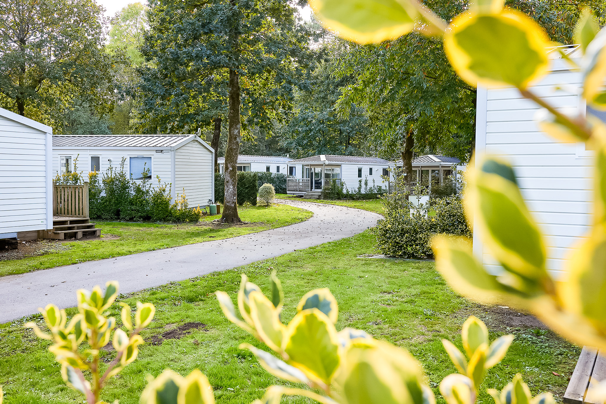 camping avec aire de jeux pour enfants à brétignolles