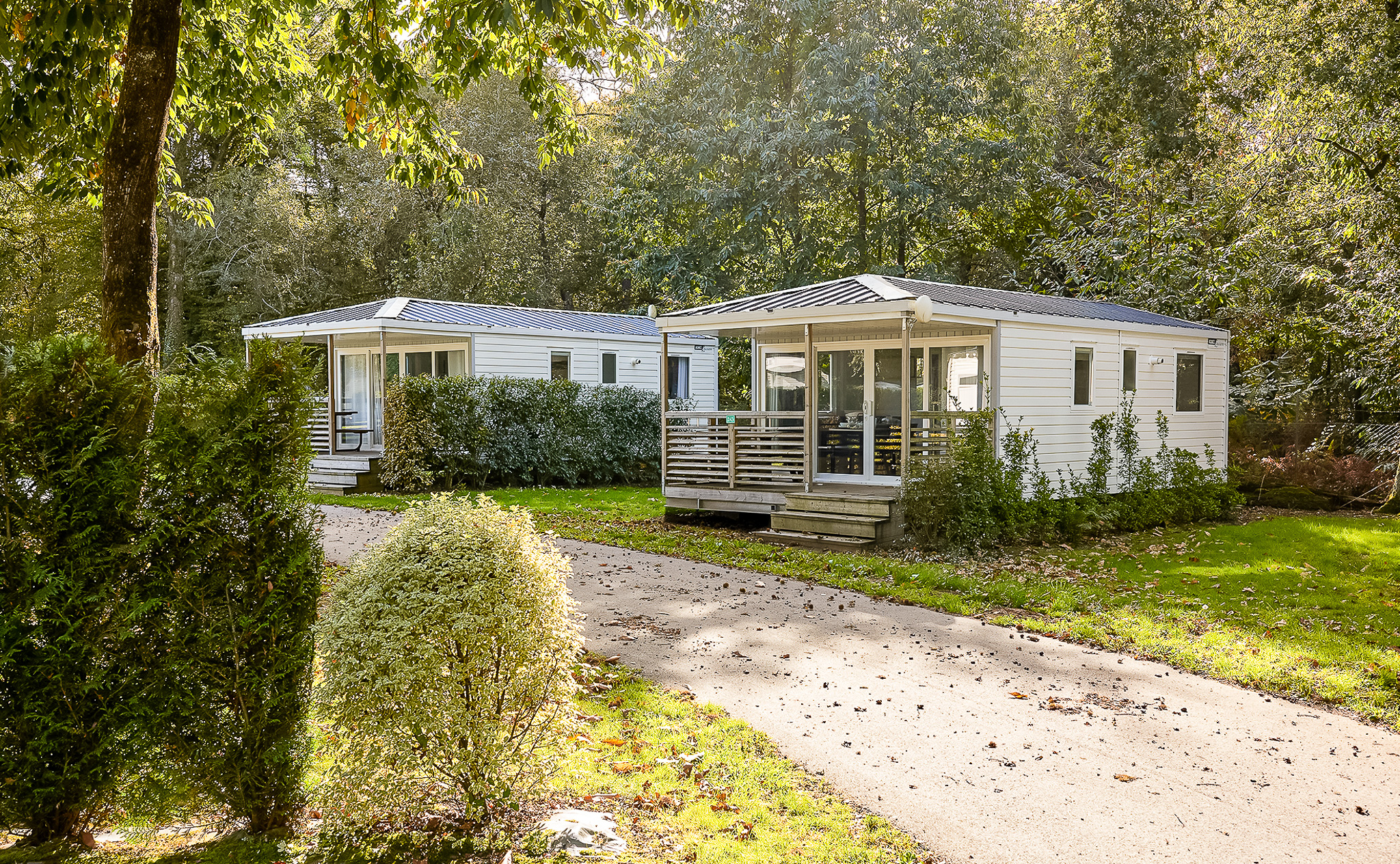 camping avec terrain multisports en vendée