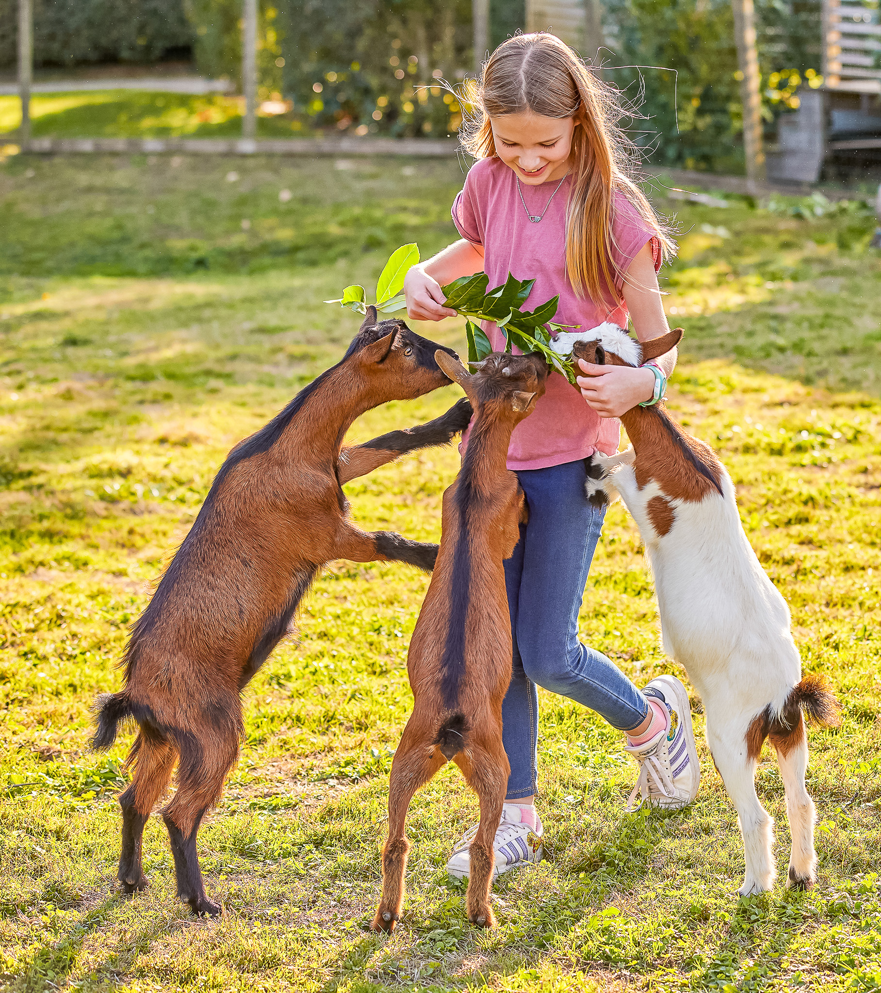 Parc animalier en camping morbihan