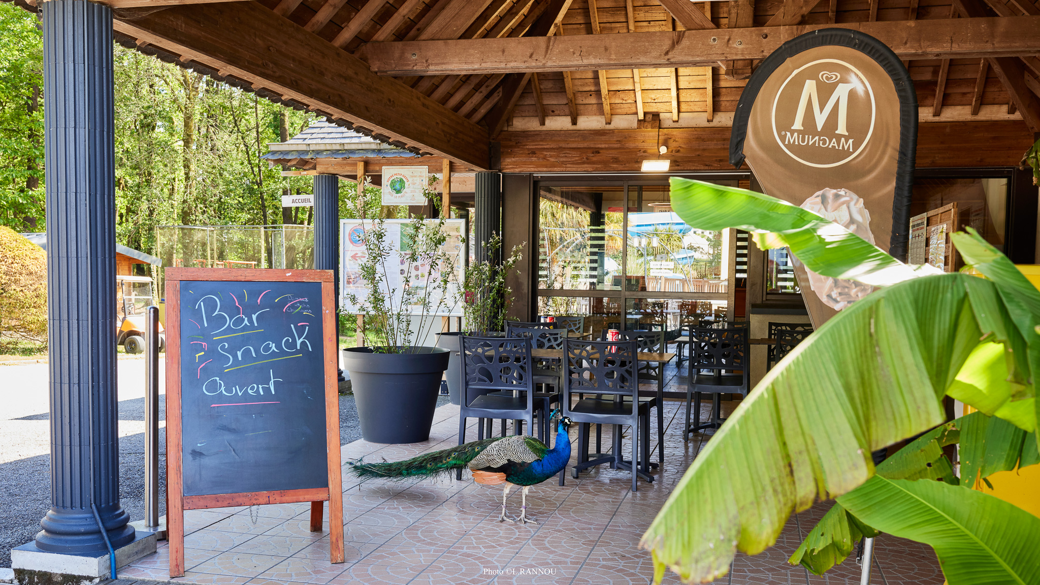 Restaurant au camping les Jardins du Morbihan dans le morbihan